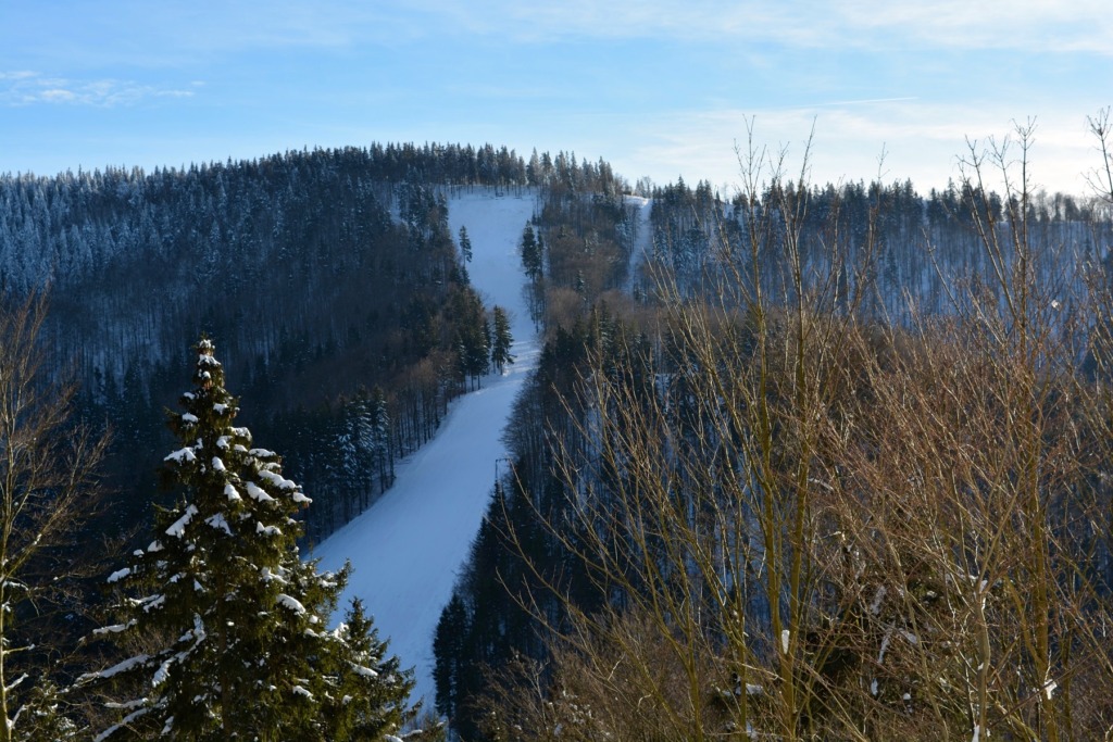 Alpine Skihang in Goldlauter