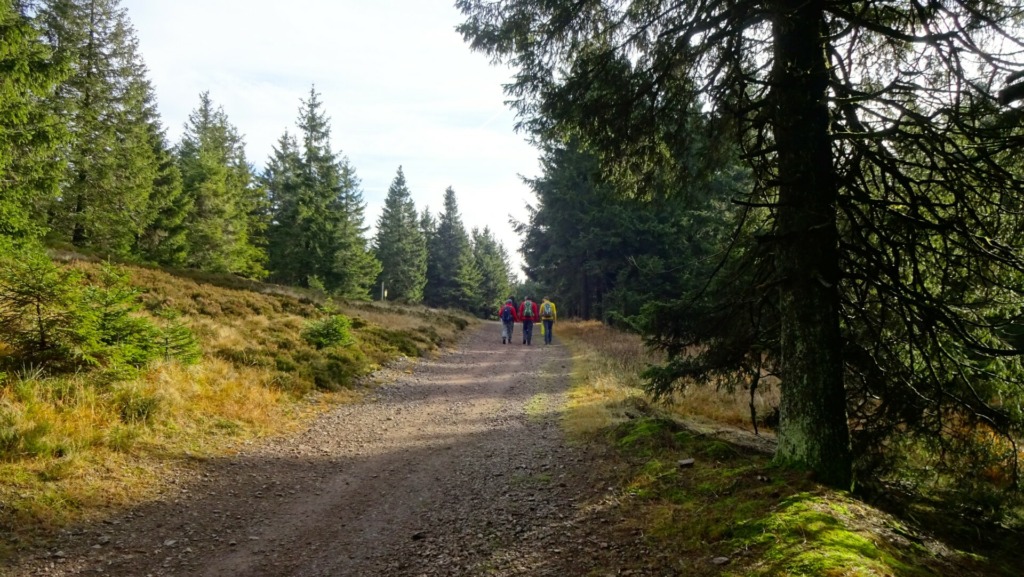 Auf dem Weg zur "Plänckner´s Aussicht"