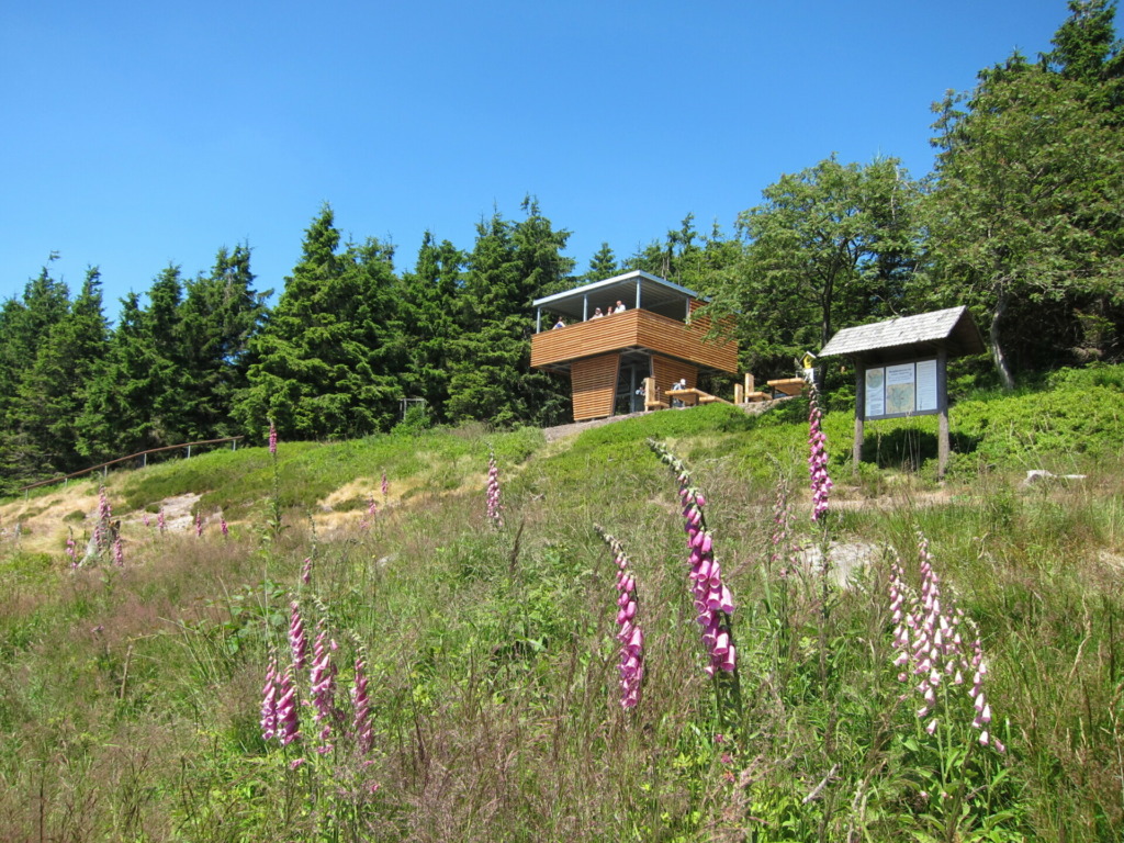 Aussichtsplattform an der Plänckner´s Aussicht