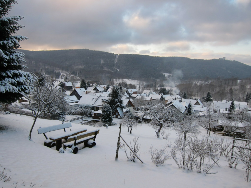 Blick über den Ort hinüber zum Ringberg