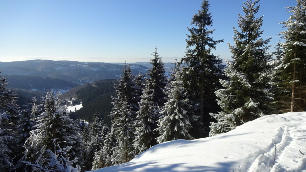 Blick vom Rosenkopf auf den Ort