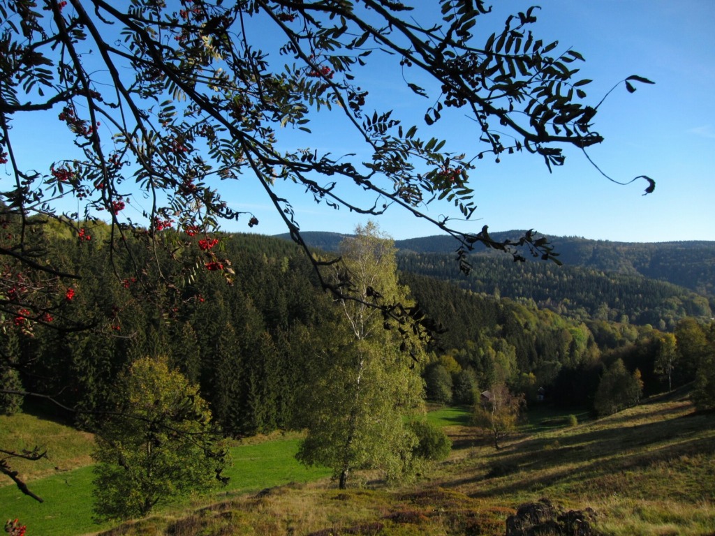 Heidelbeertal