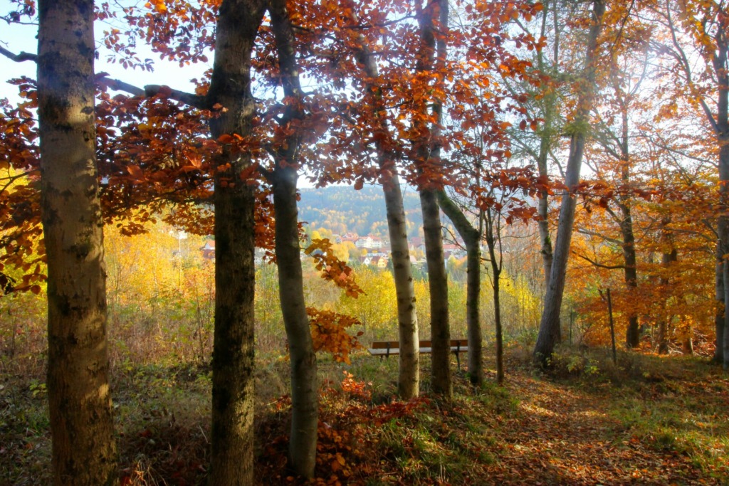 Herbststimmung mit Blick auf das Wohngebiet "Breites Feld"