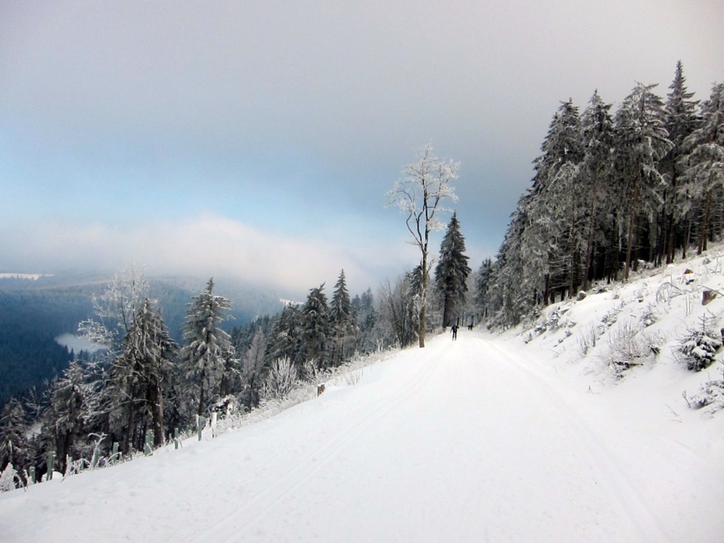 Loipe rund um den Eisenberg mit Blick auf das Goldlauterer Tal