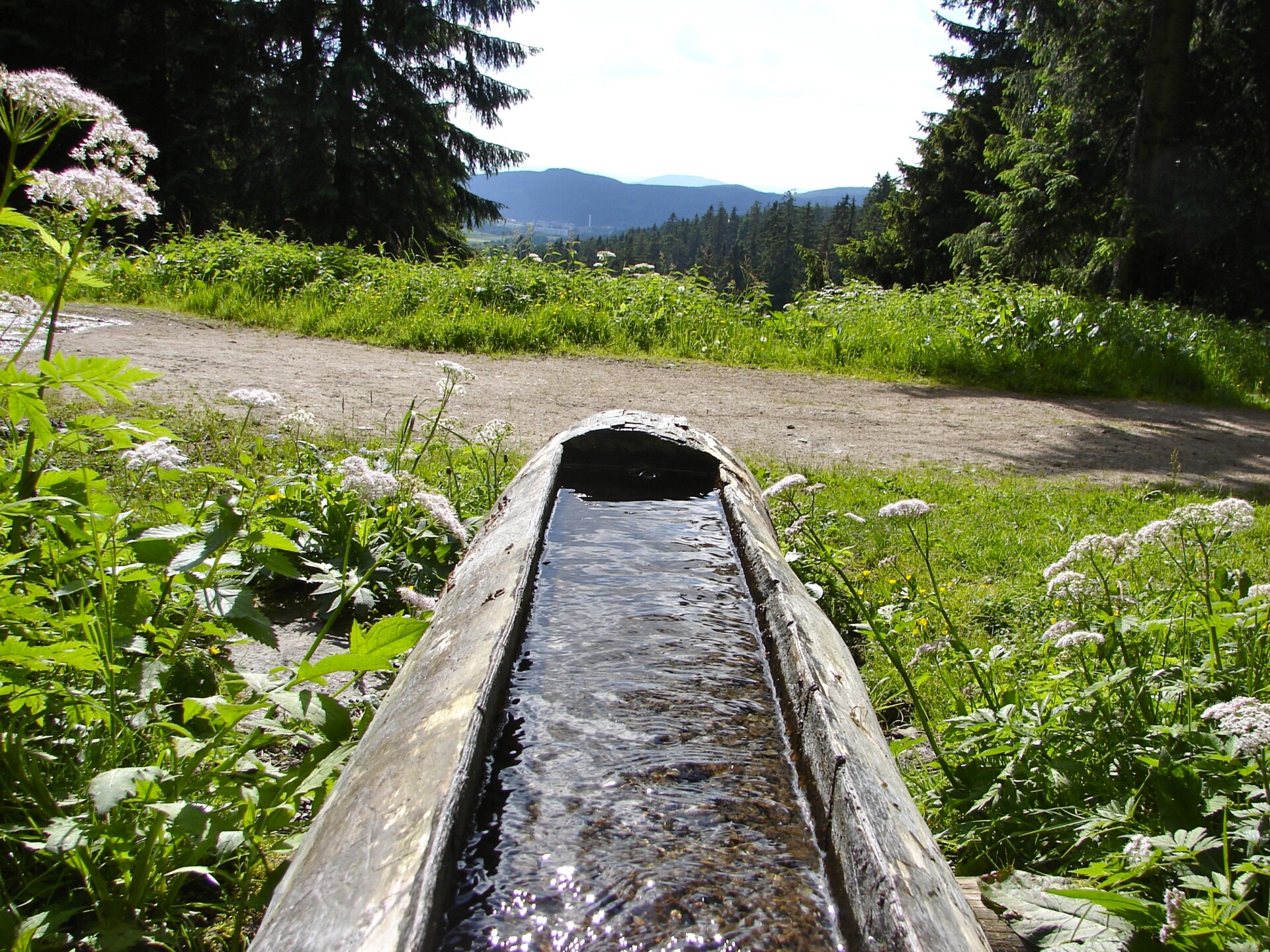 Natur pur direkt vor der Haustür