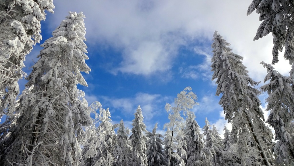 Schnee und Sonne