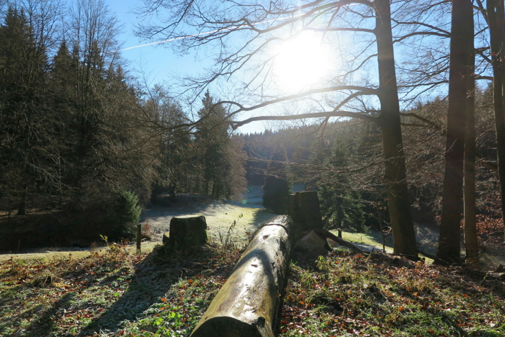 Vessertal