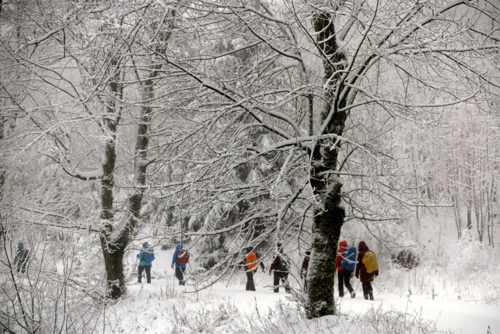 Wanderweg zum Rennsteig