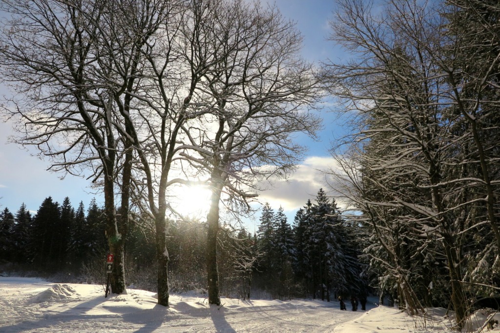 Weg zum Skistadion