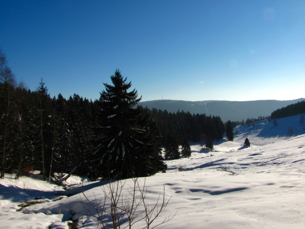 Winter im Tal der "Dürren Lauter"