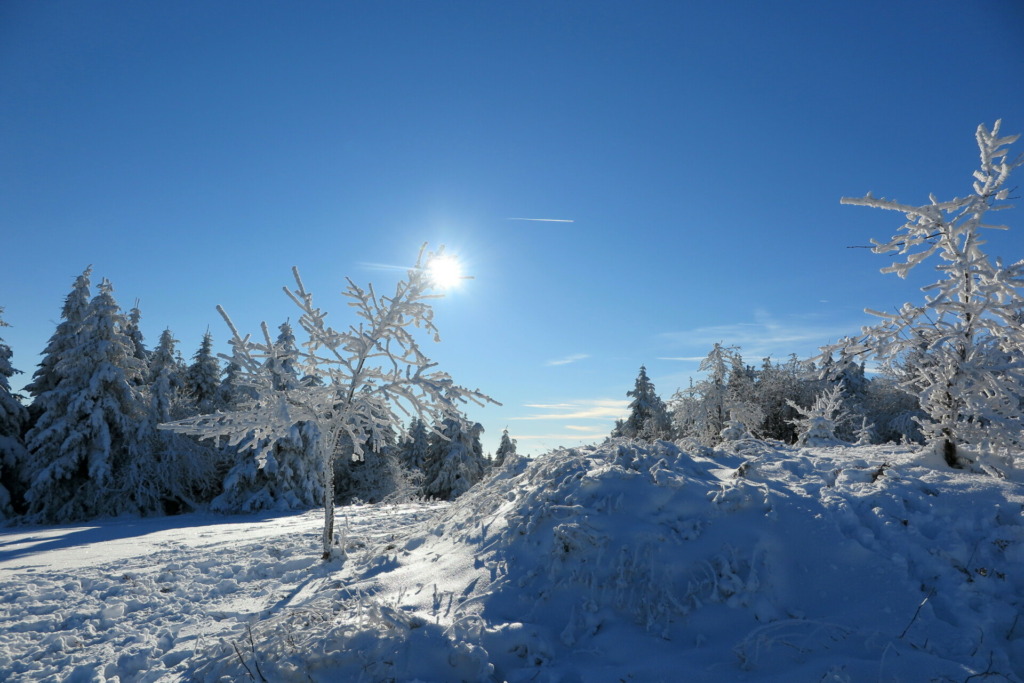 Winterlandschaft